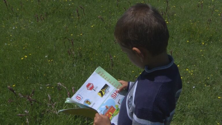 Mësimi online lë mangësi, 7-vjeçari mbetet pas me mësime