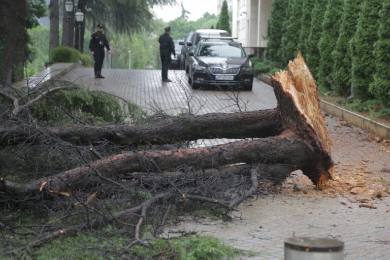 FOTOLAJM/ Pema i zë rrugën kryeminisrit