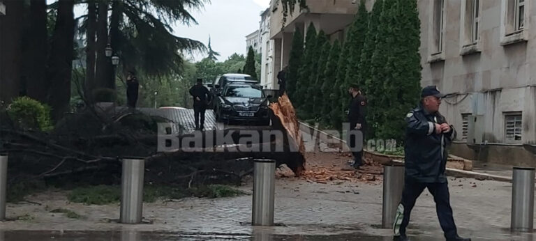 Rrëzohet pema te Kryeministria, shpëton mrekullisht gardisti (Foto)