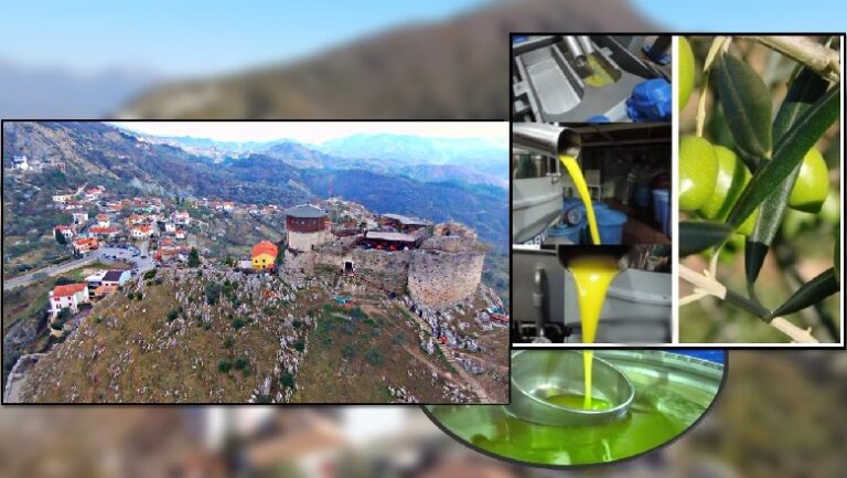 I vodhën 500 litra vaj ulliri, asnjë në pranga. Hajduti fshehu gjurmët