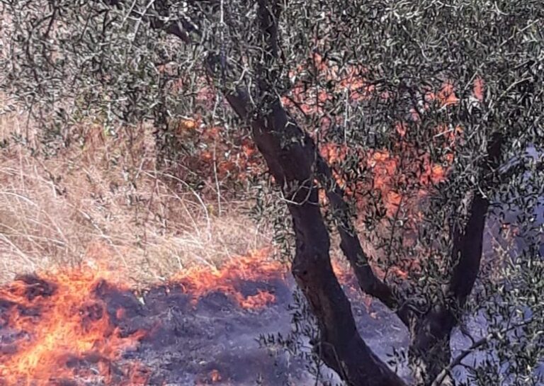Zjarret/ Agjencia e Mbrojtjes Civile shkresë bashkive: Situatë emergjente, merrni masa!