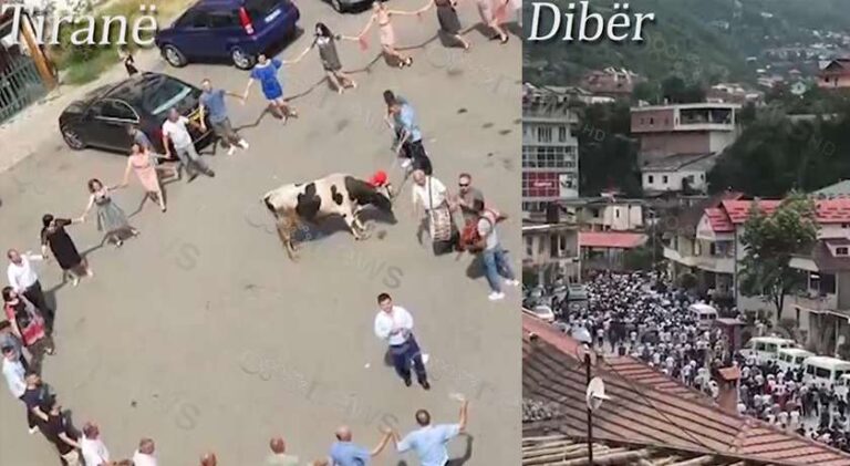 Në Tiranë, dasmë me daulle e lopë, në Dibër turma i jep lamtumirën 18-vjeçarit. “Harrohet” COVID-19
