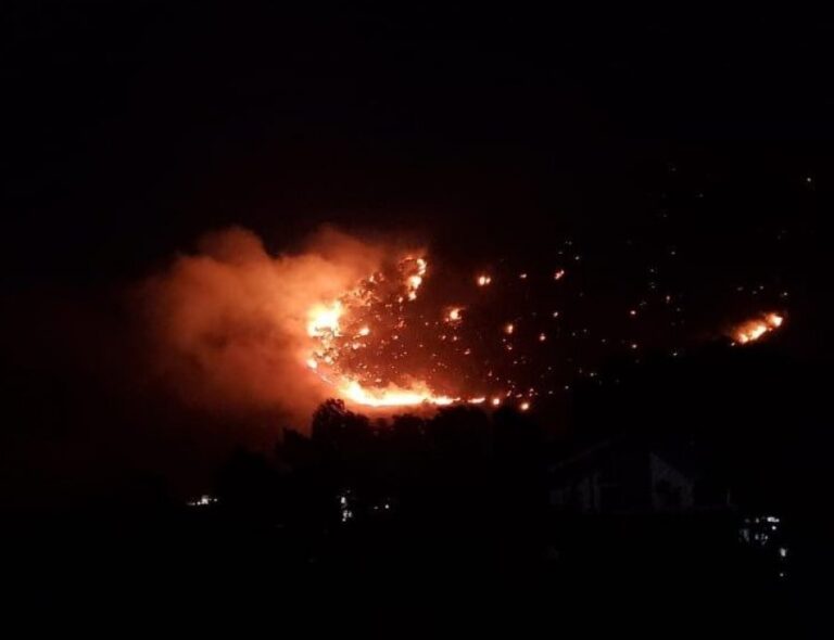 VIDEO/ Zjarri merr përmasa të pa parashikueshme, frikë tek pushuesit në Velipoje