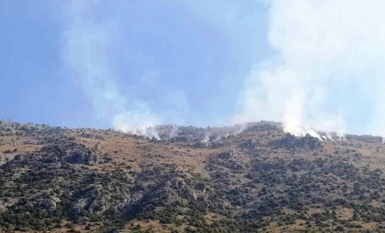 Zjarri në kodrat e Molungut, pylli po digjet prej 3 javësh