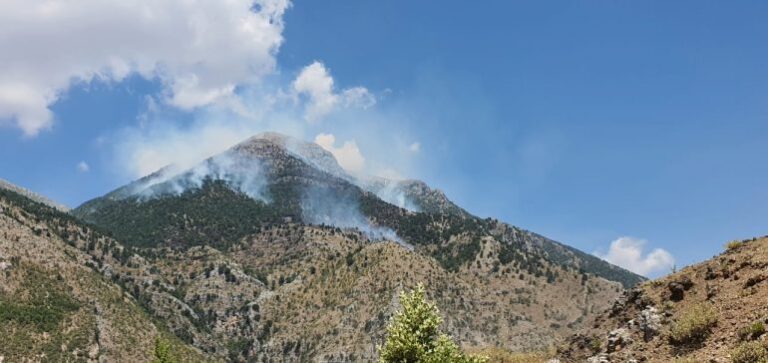 Zjarr afër pyllit të Sharrës në Tiranë, flakët po i afrohen banesave