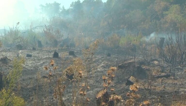 Zjarri vijon në Seman, priten përforcime nga ushtria
