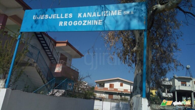PD padit një tjetër drejtor të PS: Po përdor administratën për zgjedhje