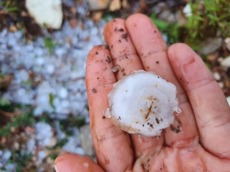 Çudirat e motit! Breshër i pazakontë sa një top ping-pongu në Konispol (FOTO)