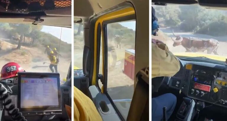 Video/ Po luftonin me flakët, demi ndjek nga pas zjarrëfikësit që largohen me vrap