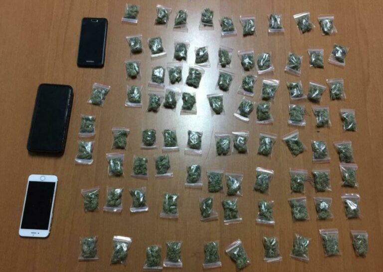 Furnizonte Laprakën me kanabis, në pranga shpërndarësi dhe dy blerës