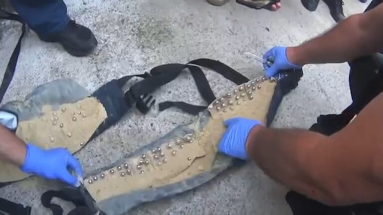 Arrestohet një grup terrorist me ideologji të ISIS-it në Maqedoninë e Veriut (Foto+Video)