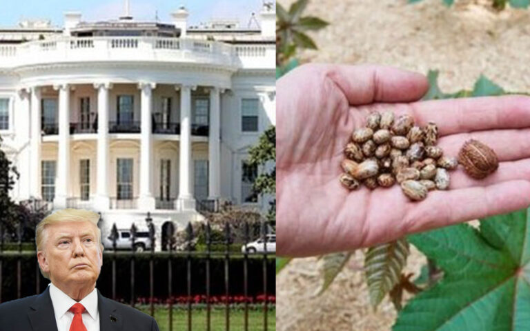 Tentohet helmimi i Trump? Ja çfarë u gjet në zarfin për Shtëpinë e Bardhë