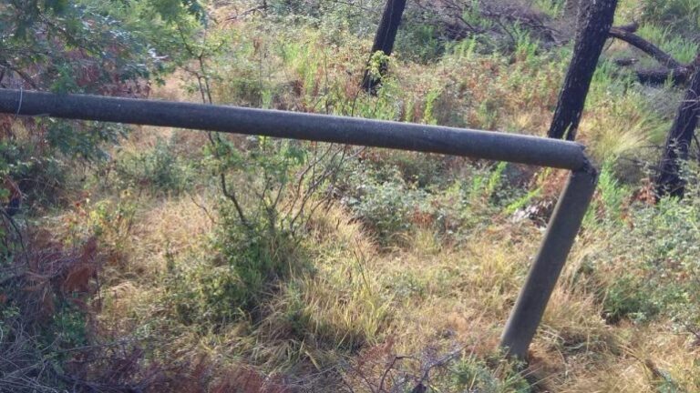 FOTO/ Moti i keq lë pasoja në shtyllat dhe telat e energjisë elektrike, OSSH: Situata tani e normalizuar, ja zonat që u prekën