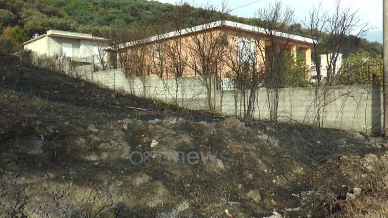 Banorët e Zvërnecit kaluan natën pa gjumë, flakët u rrezikuan fshatin