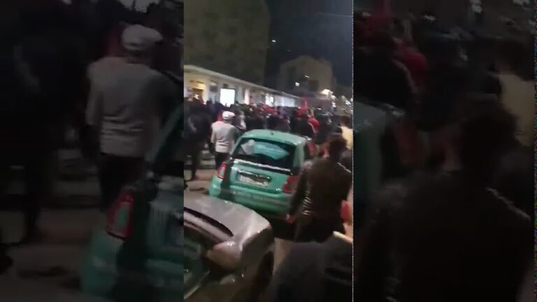 VIDEO/ “Armenë dilni, ku jeni?”! Turqit bëjnë “namin” edhe në Francë