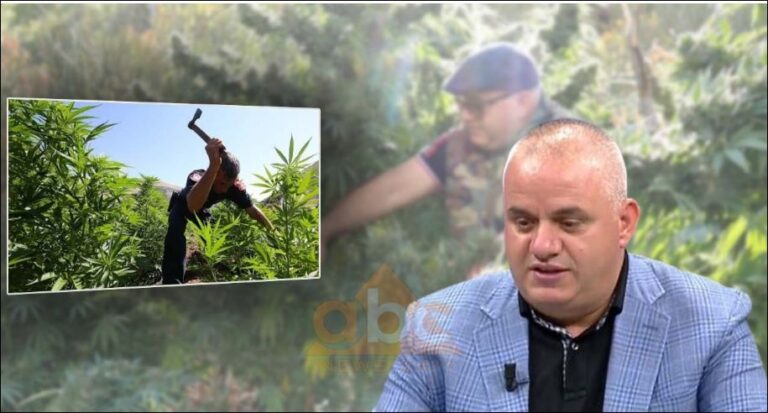 Artan Hoxha: Policia u “këput” duke korrur dy ditë kanabis në Vlorë! Mesazhi i koduar për kultivimin