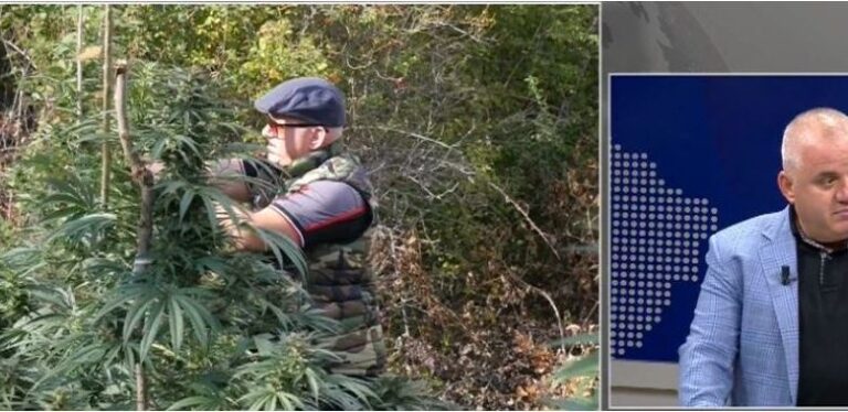 Vrasja e të rinjve në Malësinë e Madhe, Artan Hoxha ngre dyshime: Si kishte rënë zjarr në parcelën me hashash, kur në zonë binte ditë shi prej tre ditësh