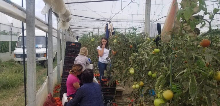 Mehmetaj: Qeveria i ka lënë vetëm fermerët, Rama jo vetëm që gënjen, por mendon se qytetarët i besojnë gënjeshtrat e tij