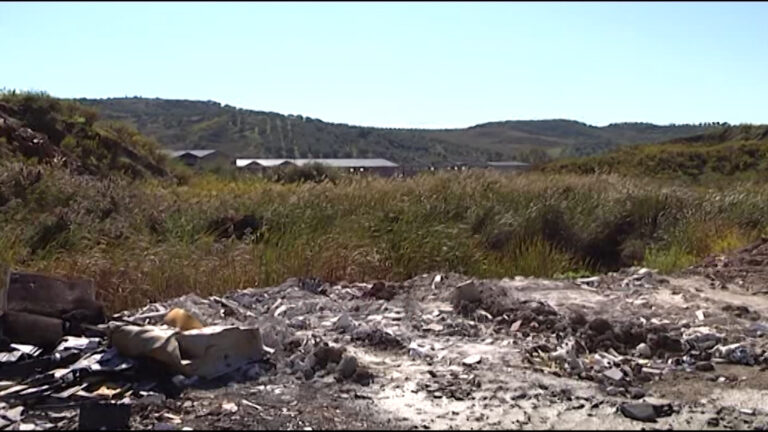 “U qelbëm!” Banorët në Lushnje, protestë kundër fabrikës së përpunimit të peshkut