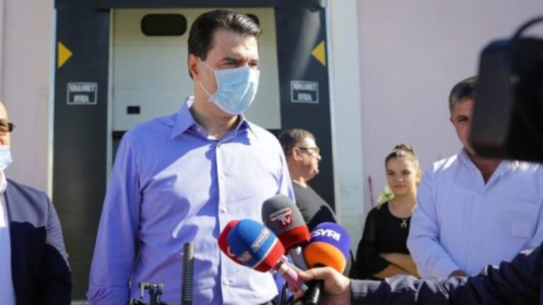 Basha në Lushnje: Do t’i japim fund vjedhjes me hir a me pahir (VIDEO)