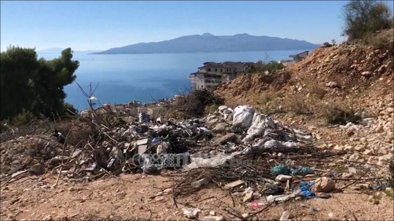 Sarandë: U dhanë 16.6 mln lekë për pisha e selvija, sot kurora s’ka e gjelbërim por inerte