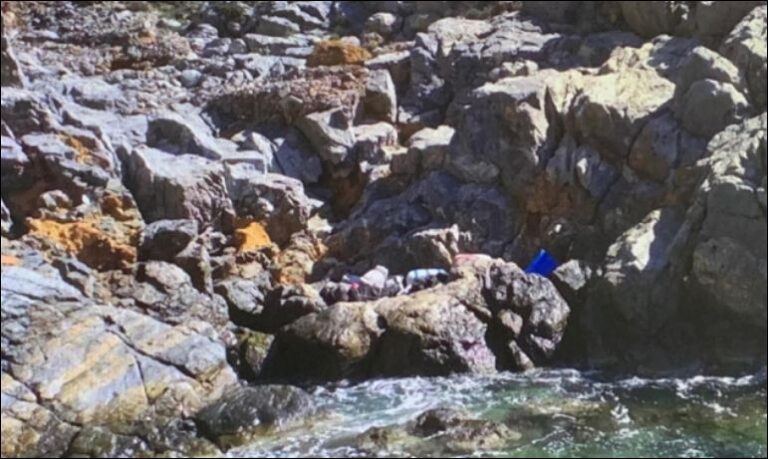 Bllokimi i 1.2 ton kanabis në Greqi, “zbërthehet” shqiptari i arrestuar: I dija cigare, sapo e kuptova u …