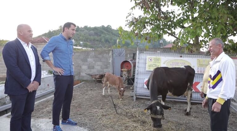 Baldushk/Familja u detyrua të shiste lopën pas tërmetit, Veliaj u çon një tjetër në shtëpinë e re (VIDEO)
