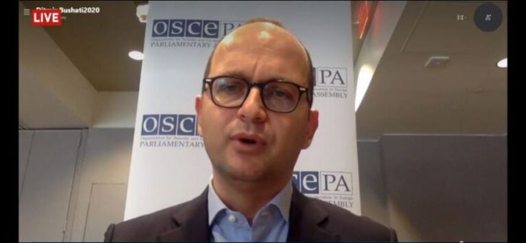 Nga pozicioni në PS, raporti me Ramën dhe “Deti”, Bushati: Nuk e kuptoj se për çfarë sot po shkohet në Hagë