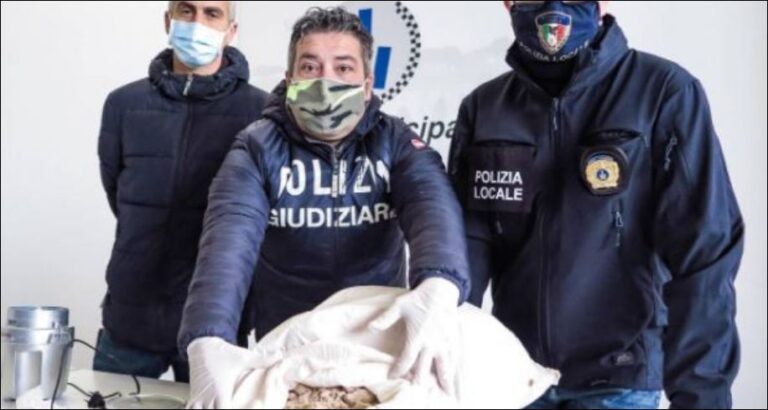 Zbulohet rafineria e drogës në Itali, arrestohet 28 vjeçari shqiptar