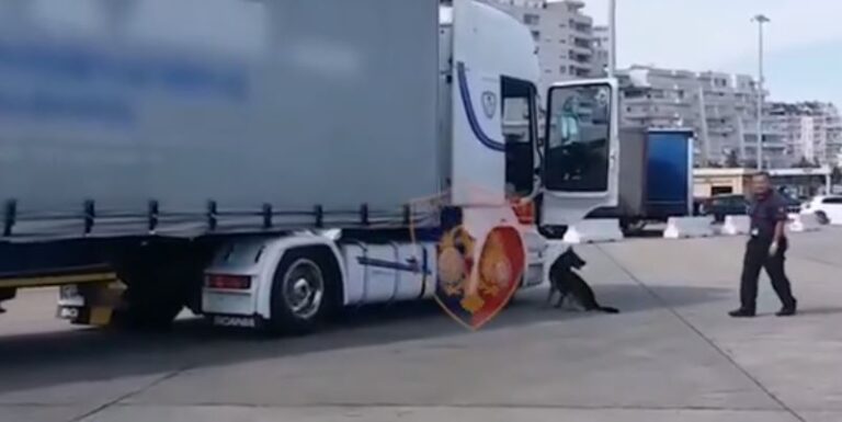 Kapja e 2.6 ton drogë, hetimet shtrihen edhe në Shqipëri