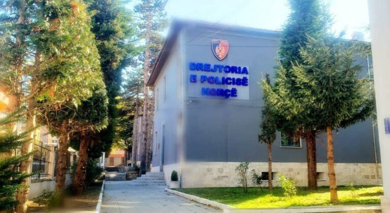 “I avullojnë” 12 mijë euro, policia prangos 20 vjeçarin që kishte mbushur “Porsche-n” me emigrantë