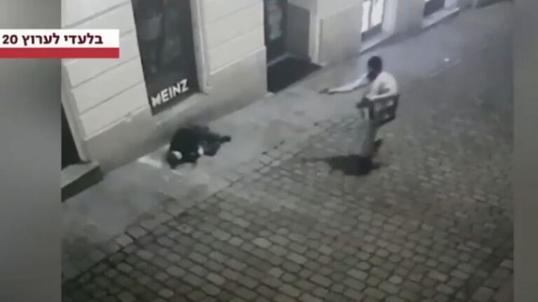 Origjina e terroristit në Vjenë, Maqedonia e V. nis kontaktet me Austrinë
