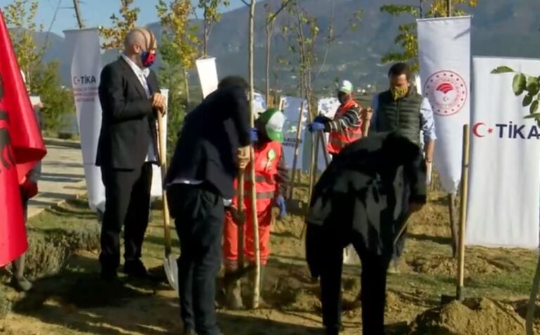 Rama dhe Veliaj në mbjelljen e 1 mijë pemëve në Farkë, iniciativë e Erdogan