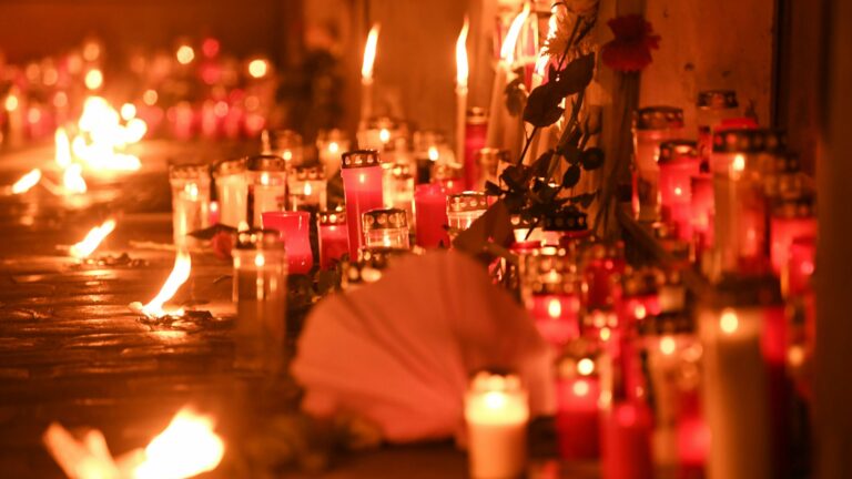 Kujtohen viktimat, Vjena mbetet e fortë, një “det me drita” pas sulmit terrorist