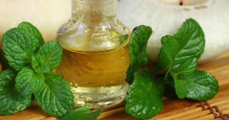 Bën mrekulli! Kura ndaj migrenës vetëm një përbërës