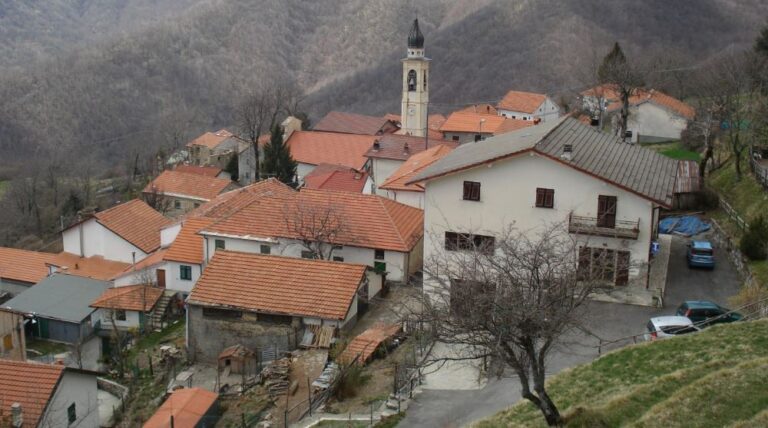 Festë e madhe në fshat, lindja e parë pas 23 vjetësh