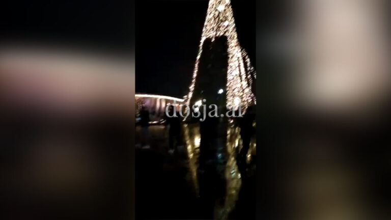 Protestuesit i heqin dritat pemës tek sheshi ”Skënderbej”