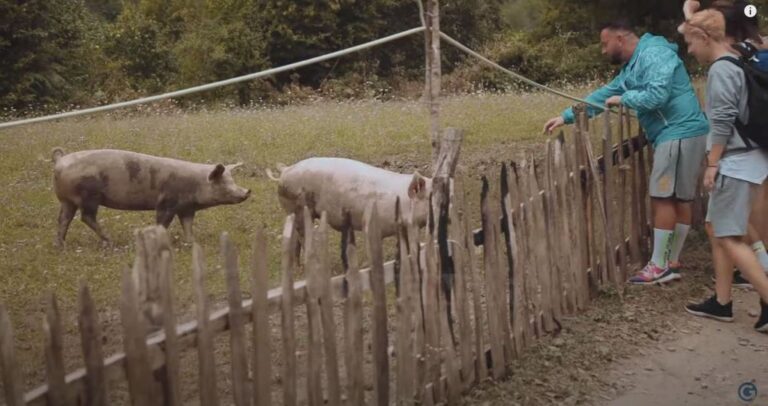 Gjuetarët e Thesarit/ Fillojnë shkëndijat në grupe. Eltoni e krahason Irmën me….