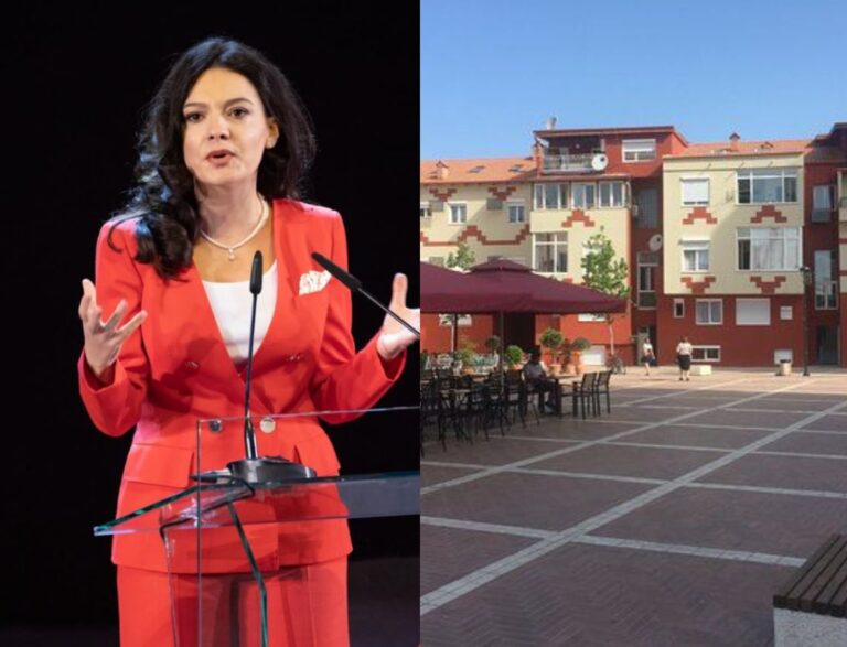 Berisha: Spiropalët me fermë mushkash dhe baçe mushmollësh tek Pazari i Ri