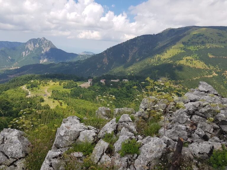 Qaf-Shtamë/Me mbështetjen e GIZ mbillen 7000 fidanë, Klosi: Sa më shumë zona të gjelbëruara