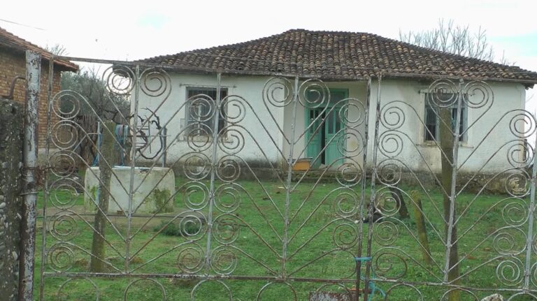 Belsh, Dragoti i braktisur, shtëpitë bosh, fshati pa fëmijë, mungojnë shërbimet bazike