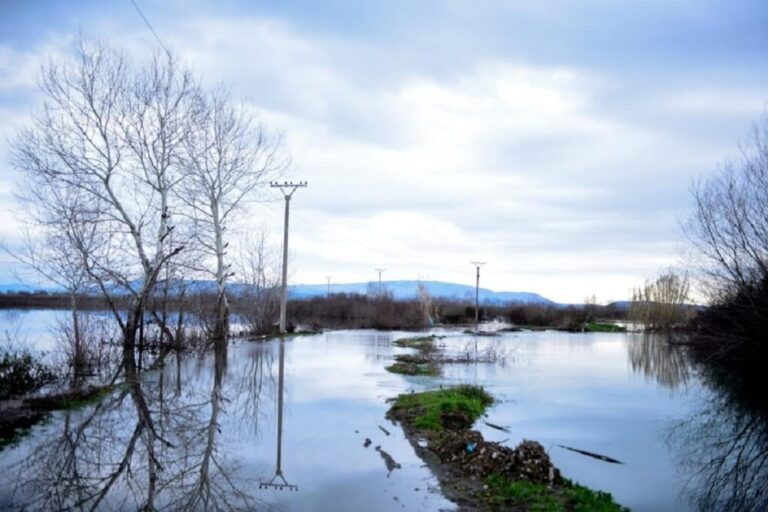 Të shpallet fatkeqësia natyrore/ Bashkia Shkodër: 2785 sipërfaqe toke ende nën ujë