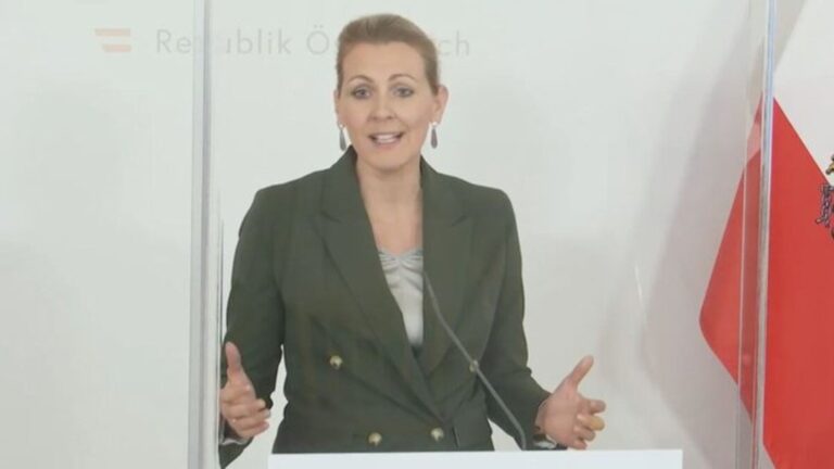 Punimin e diplomës e kishte plagjiaturë, ministrja jep dorëheqjen