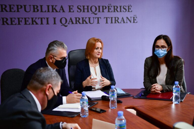 Denaj: Fiskalizimi, proces që do ndihmojë formalizimin e ekonomisë