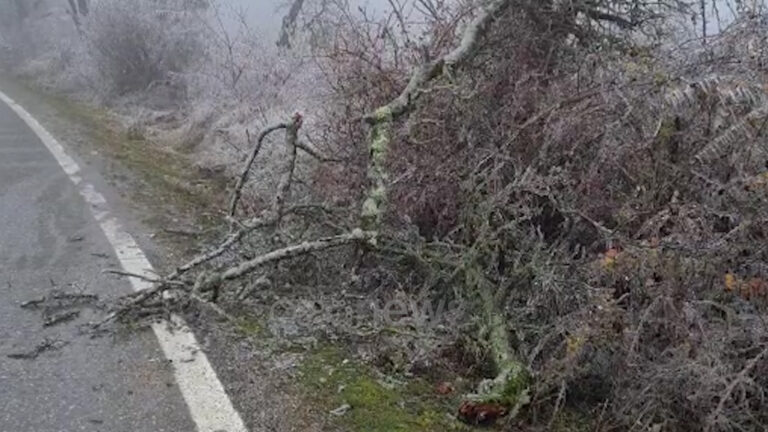 Ulen ndjeshëm temperaturat në Dibër, akulli rrëzon pemët dhe thyen shtyllat e tensionit