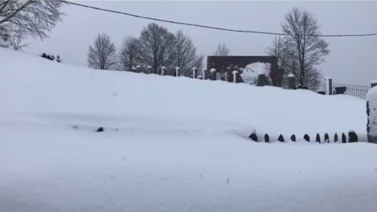 Lëpusha prej ditësh pa drita dhe e izoluar nga bora