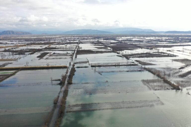 Oboti kthehet në “fushë orizi”, uji pushton gjithë fshatin, niveli deri në 80 cm