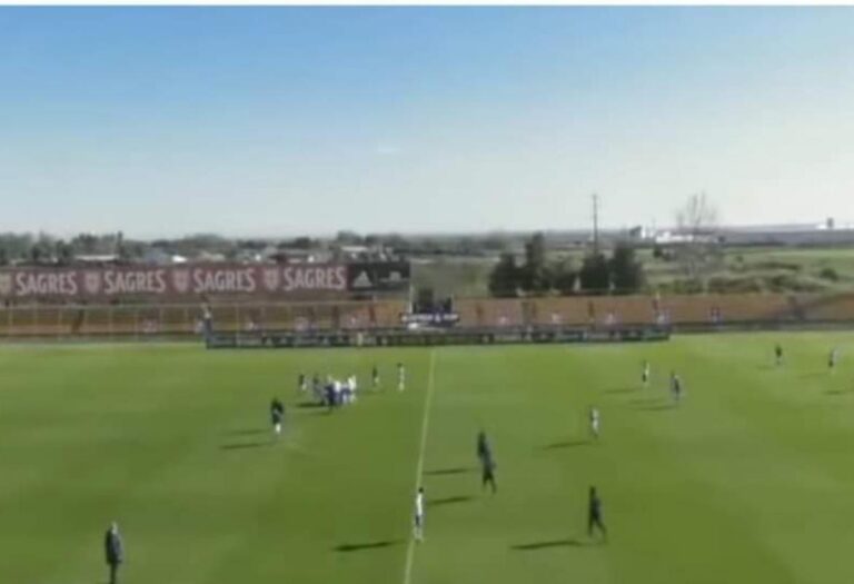 VIDEO/ Pësoi atak kardiak gjatë ndeshjes, vdes futbollisti 24-vjeçar