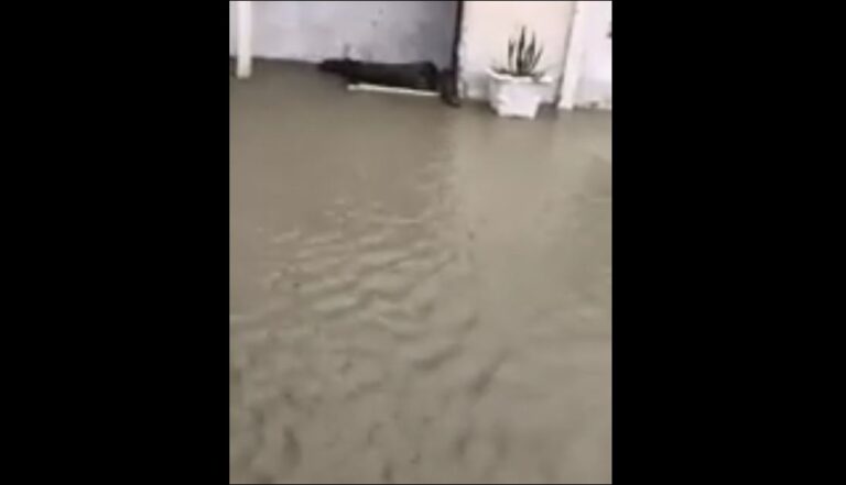 LSI publikon pamjet: Si në mesjetë, Sukthi i përmbytur (VIDEO)