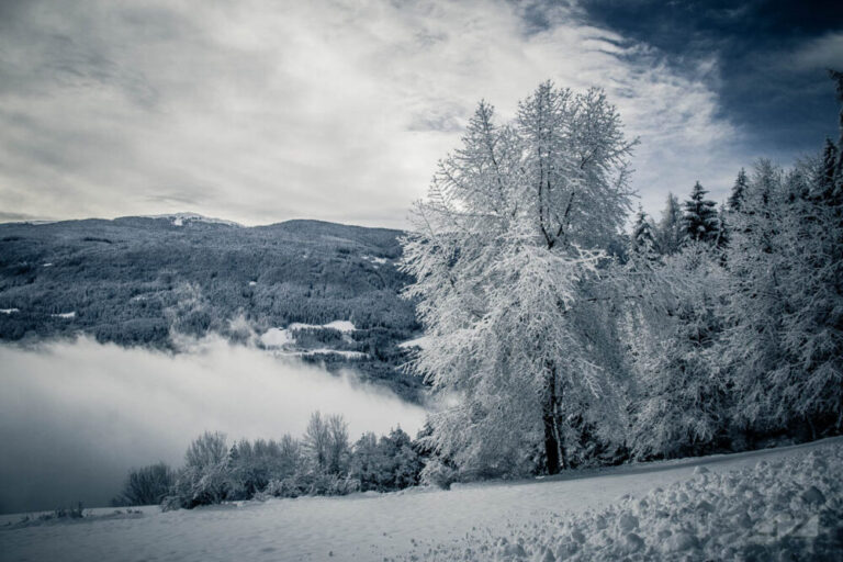 -15 gradë, ”ngrin” veriu i Italisë